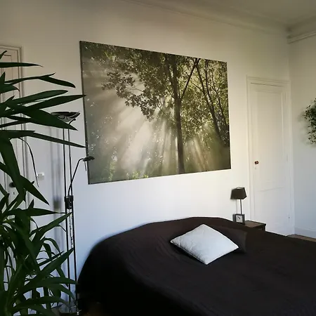 Le Cosy Apartment *