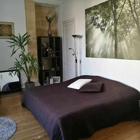 Le Cosy Apartament Bordeaux